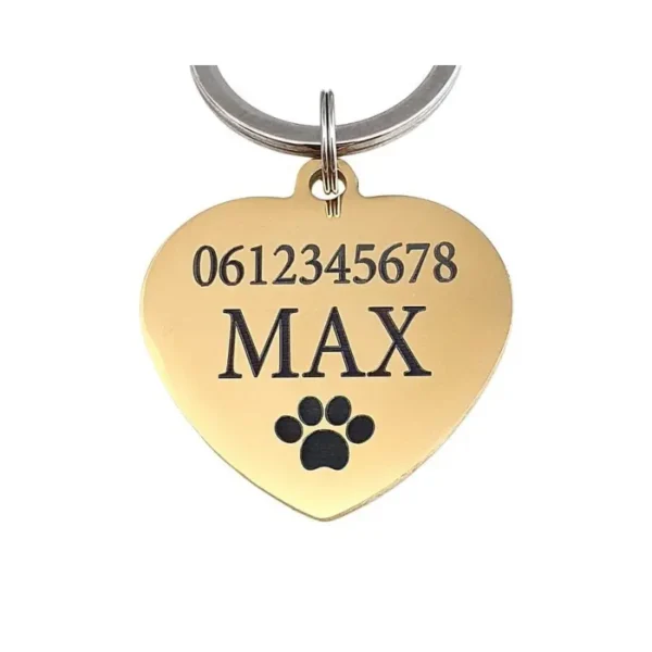 Dierenpenning met naam graveren Kattenpenning adres Penning voor kat of hond met telefoon nummer, chip nummer goud