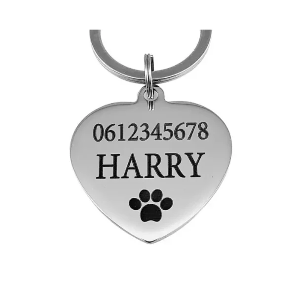 Dierenpenning met naam graveren Kattenpenning adres Penning voor kat of hond met telefoon nummer, chip nummer zilver