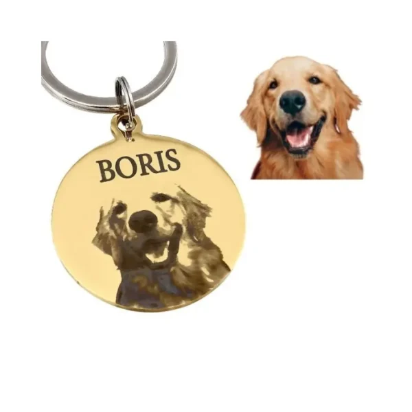 Honden penning met foto en naam graveren mooie naampenning voor hond met gegraveerde foto en telefoonnummer goud