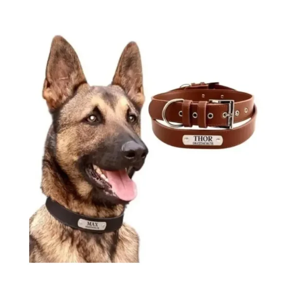 Honden halsband met naam leer