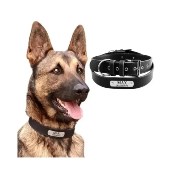 Honden halsband met naam leer